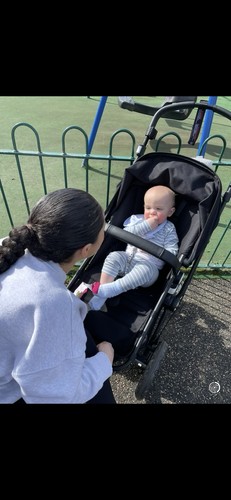 The bugaboo cameleon plus - 3,